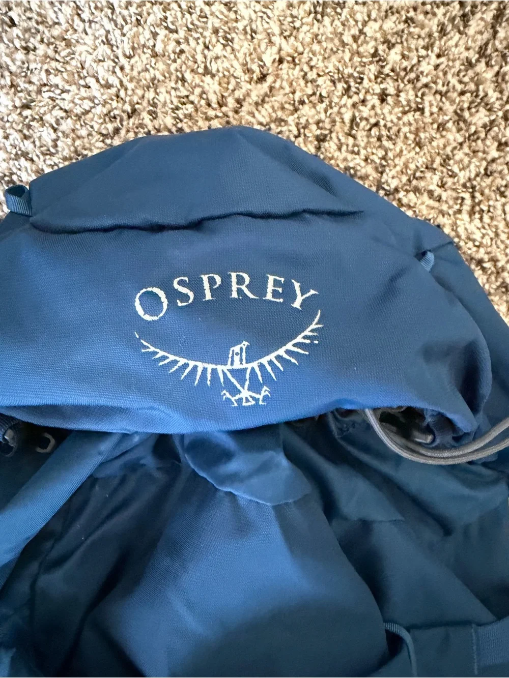 Osprey Kestrel 38 Liter Backpack w/Reservoir Loch Blue, Small/Medium